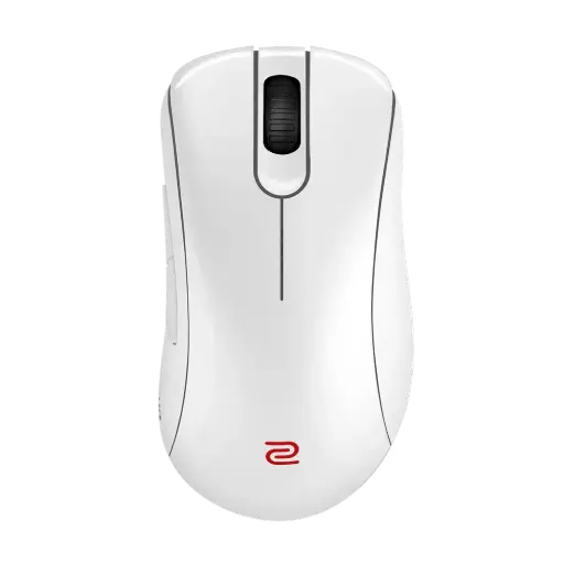 [False] Mouse